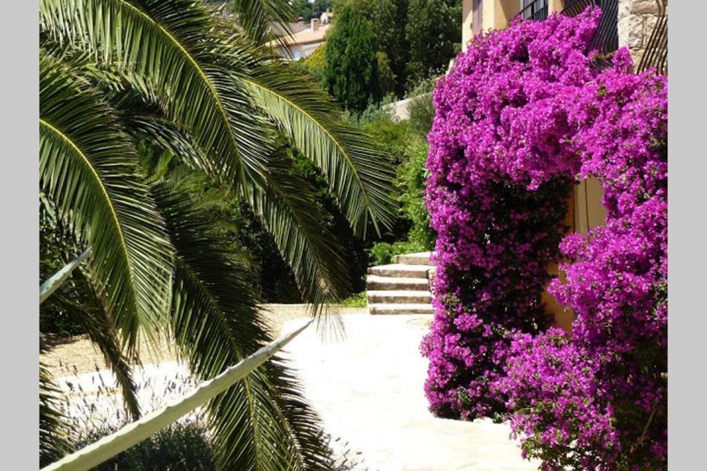 Lou Pei 2 Villa Saint-Peire-sur-Mer Luaran gambar