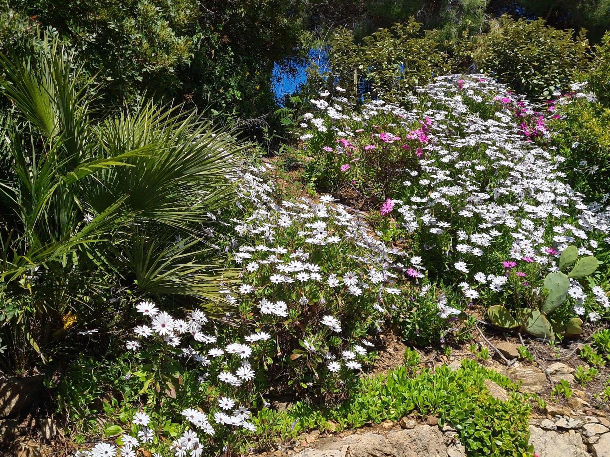 Lou Pei 2 Villa Saint-Peire-sur-Mer Luaran gambar